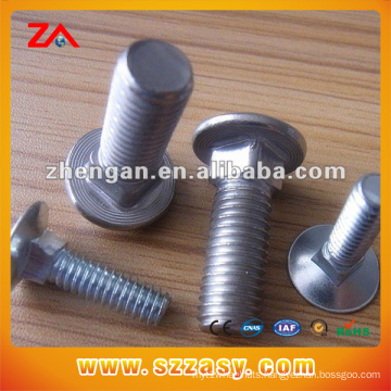 Stainless Steel Bolt